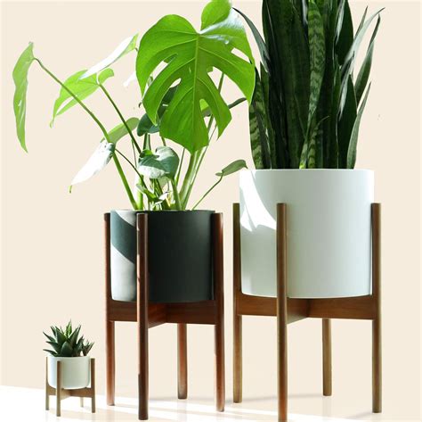 6 Fun, Modern, and Trending Indoor Planter Ideas hpd architecture