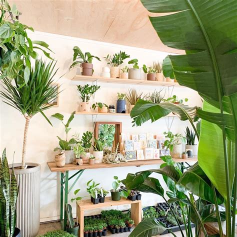 The Coolest Plant Stores Around Austin