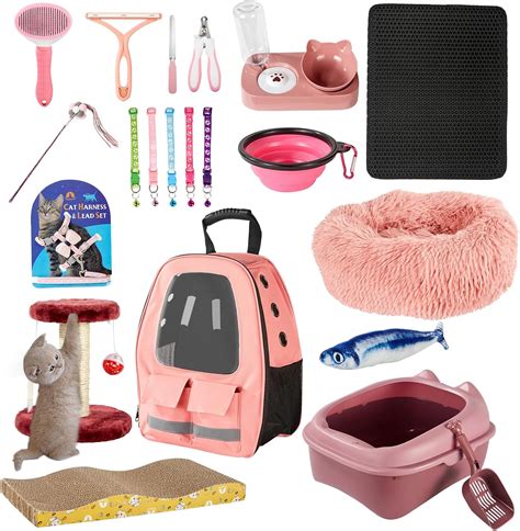 Indoor Cat Necessities