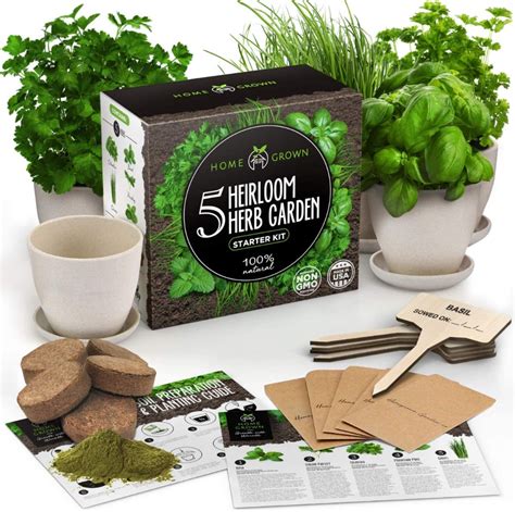 indoor herb garden seed starter kit