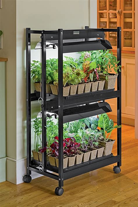 Indoor Vegetable Gardening: How to Grow Nutritious Veggies Without Sunlight