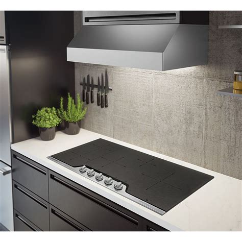 Induction Cooktop In Canopy