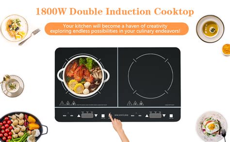 Induction Stove Clearance