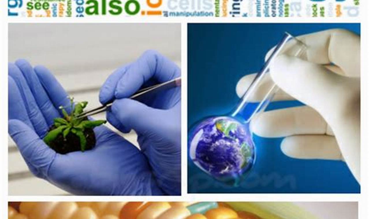 Harnessing Industrial Biotechnology: A Guide to Transformative Examples