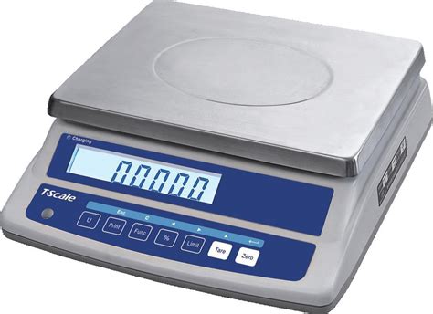 CAS CT100 Receipt Printing Weighing Scale Precision Industrial Scale