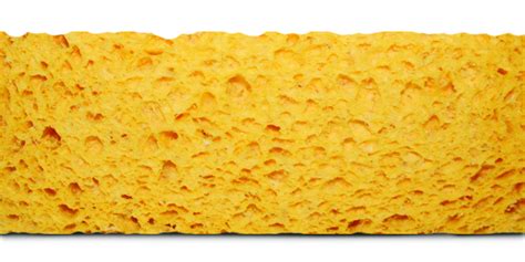 Sponge dalam Industri