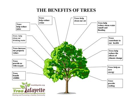 Industrial Uses Of Trees