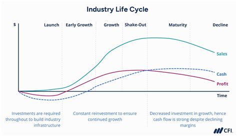 industry life cycle graph