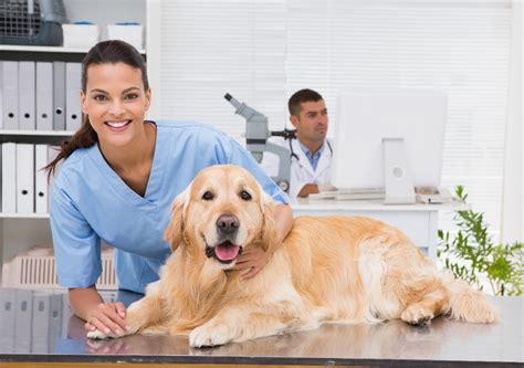 inexpensive vet near me reviews