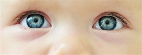 infant eye development