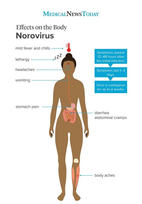 infectious period of norovirus