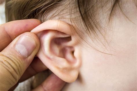 infeksi telinga