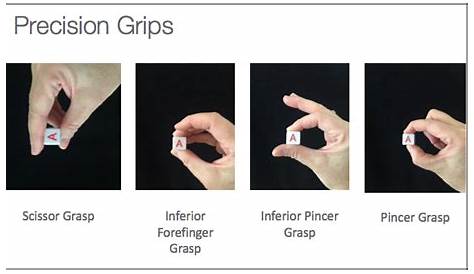 Inferior Pincer Grip When Will Your Baby Develop The Grasp?