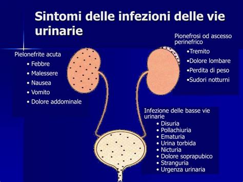 infezioni delle vie urinarie