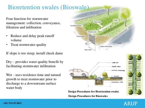 Infiltration Basin Vs Bioswale