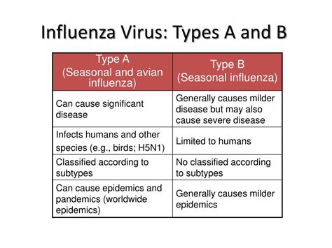influenza a and b difference