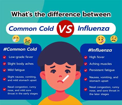 Influenza vs Cold: Uncovering the Key Differences and Effective Treatments
