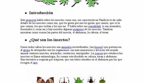 Información Elemental de los Insectos