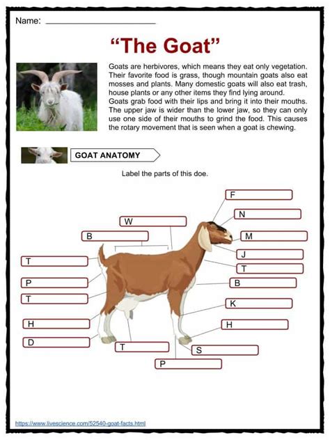 information about goats for kids