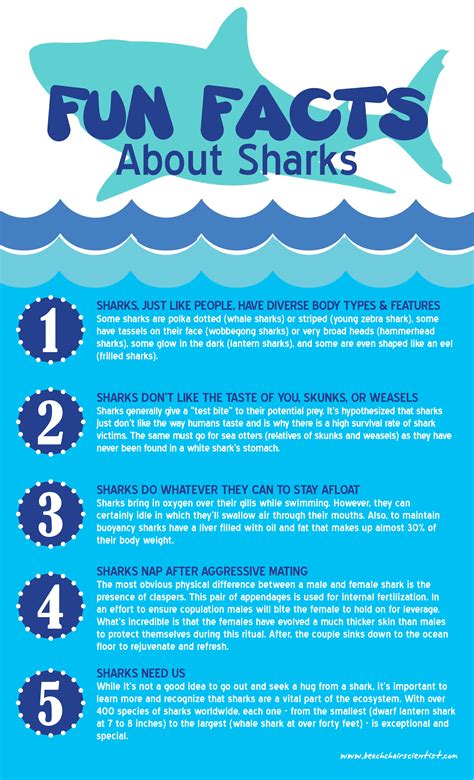 information about sharks for kids