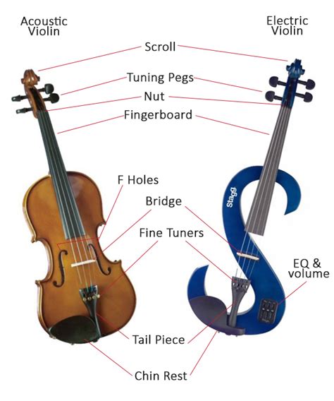 Information About Violins