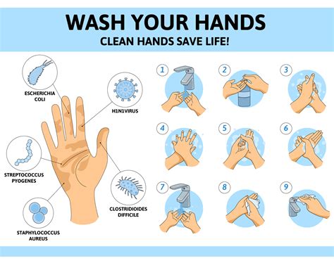 information about washing hands