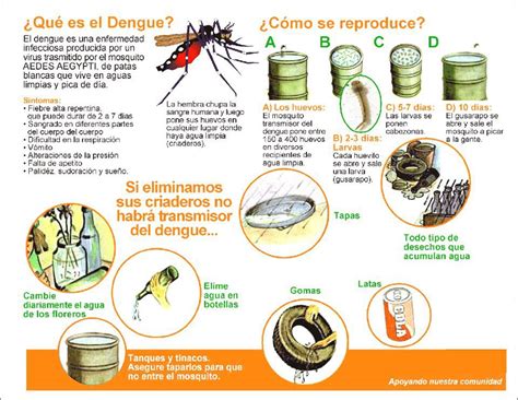 informe sobre el dengue pdf