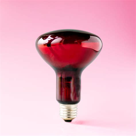infrared lightbulb