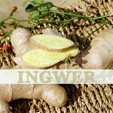 ingwer