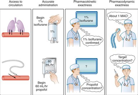 Inhaled Vs Iv Anesthesia