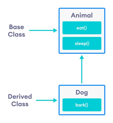 inheritance in c programming examples