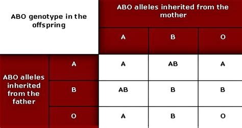 Inheriting Blood Type Chart