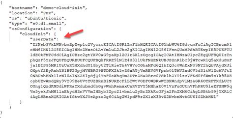 init script example