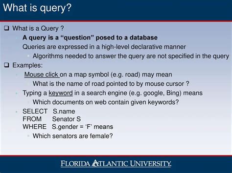 initial query meaning