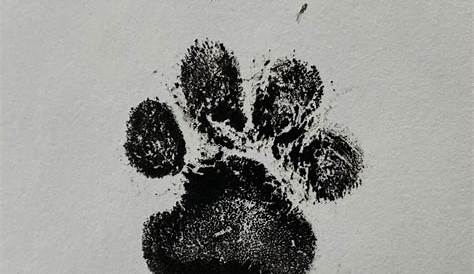 Ink Prints: Paw and Nose – Heaven's Pets