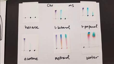 Ink Chromatography Lab Activity