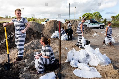 inmates brevard county jail