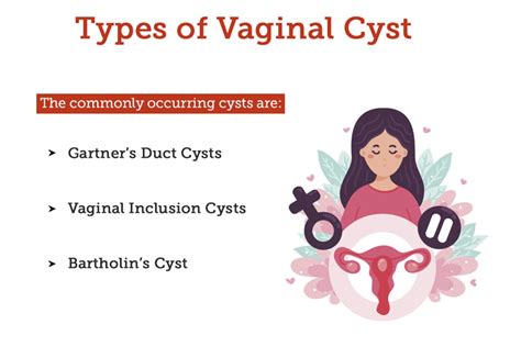 Understanding and Addressing the Concern of an Inner Vulva Bump