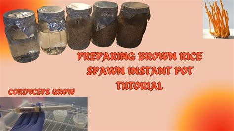 Inoculating brown rice grain spawn with a spore syringe