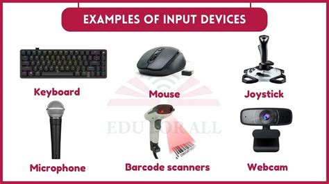 Input Devices Examples Brainly