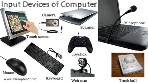 Input Devices Used In Computer Graphics