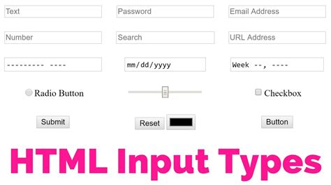 input field in html form