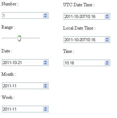 input number in html form