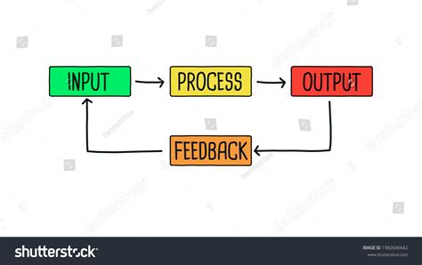input output process feedback examples