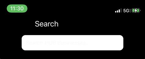 Input Placeholder Not Showing React