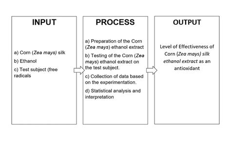 input process output example of conceptual framework in quantitative research