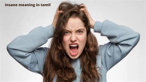 insane meaning in tamil with example