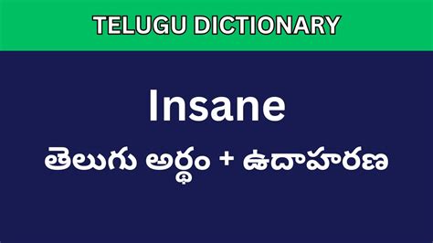 NEW MEANING IN HINDI WISDOM exactly