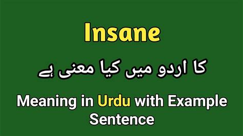 insane meaning in urdu with example