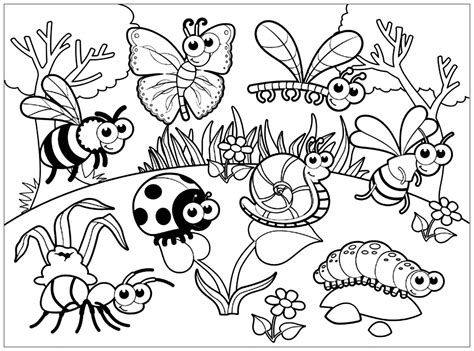 Insect Printable Coloring Pages: A Fun Way To Learn About Bugs